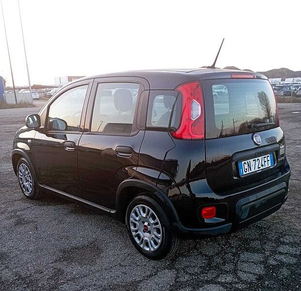 Fiat Panda 3&ordf; serie 1.0 FireFly S&S Hybrid