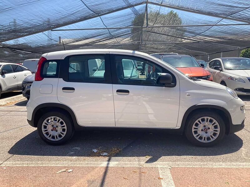 Fiat Panda 3ª serie PROMO FINANZIAMENTO LUGLIO 1.0 FireFly S&S Hybrid