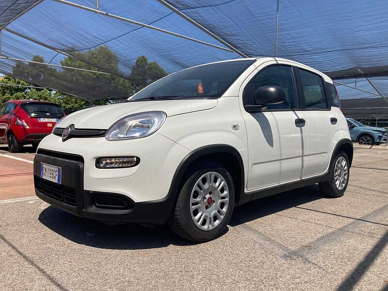 Fiat Panda 3ª serie PROMO FINANZIAMENTO LUGLIO 1.0 FireFly S&S Hybrid
