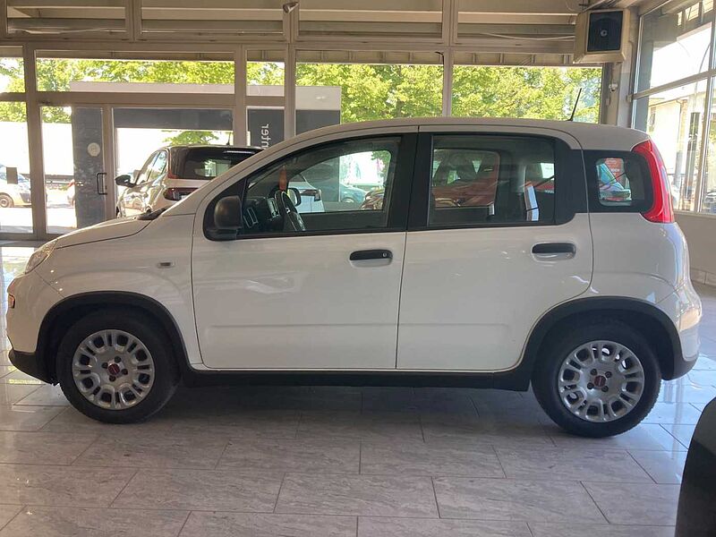 Fiat Panda 3ª serie PROMO FINANZIAMENTO LUGLIO 1.0 FireFly S&S Hybrid
