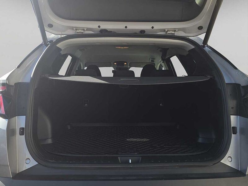 Hyundai Tucson 3ª serie 1.6 HEV aut. Exellence
